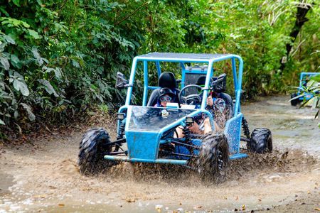 2x1: Monkeys Land Plus Drive a Dune Buggy in Puerto Plata