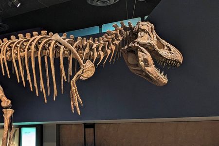 Badlands Small Group Guided Tour: Calgary to Drumheller Dinosaurs