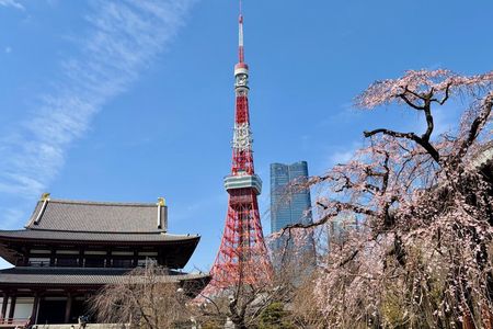 Tokyo Private Highlights Tour with a Local Guide