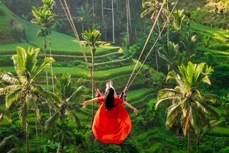 All-Inclusive Ubud Private Tour: Rice Terrace, Temple & Waterfall