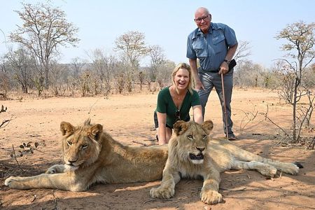 Bushwalk with Lions Experience
