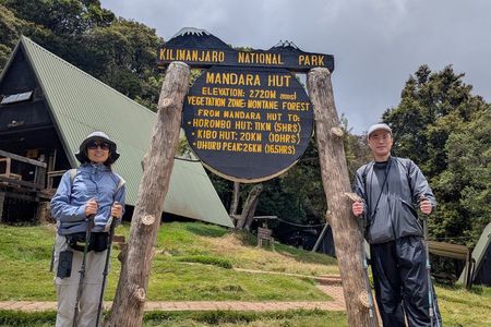 Kilimanjaro Day Trip from Moshi – Best One Day Hiking Tour