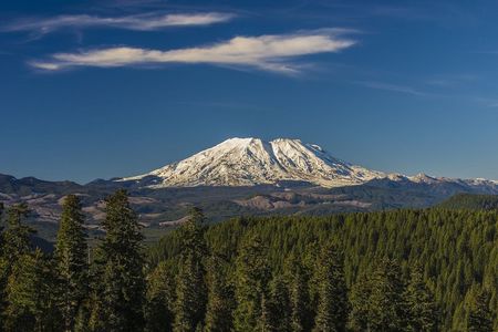 From Seattle: Mount St. Helens and Mount Rainier Private Tour