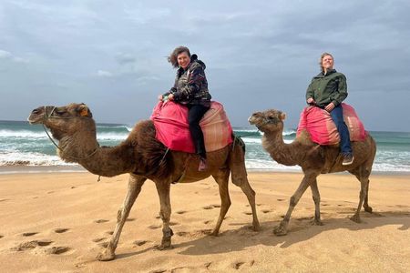 Private Luxury 4-Hour Tangier: Medina & Camel Ride