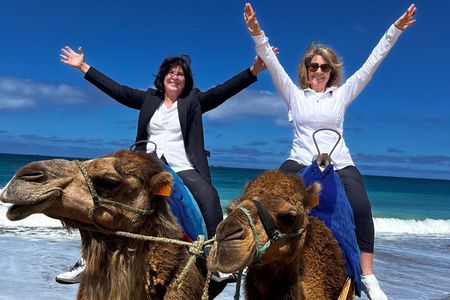 Private Luxury 4-Hour Tangier Medina Tour & Camel ride