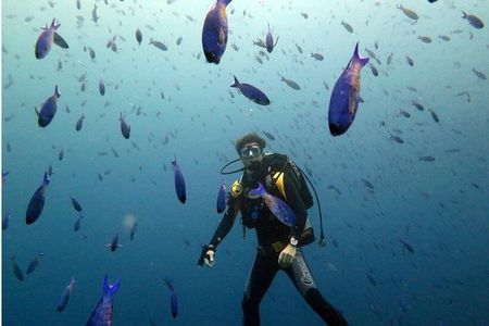 Dive Shipwrecks and Reefs in Cartagena with Certified Divers
