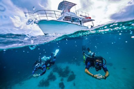 Private PADI 1-Day Scuba Certification in Cabo San Lucas