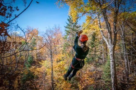 River Ziplines - Nature Tours