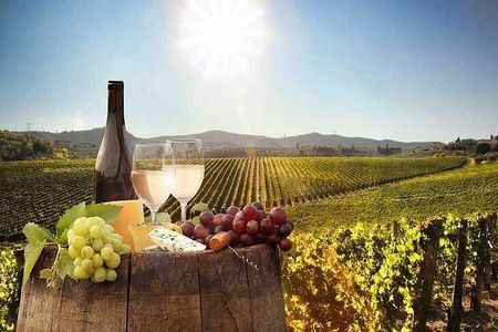 Paarl,Stellenbosch &Franschhoek full Day wine tour from Cape Town