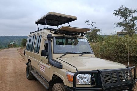 Private Amboseli day Tour in 4x4 Landcruiser