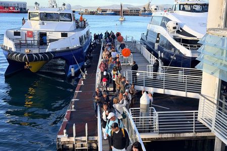Robben Island Tour with Pre Booked Tickets and Transfers