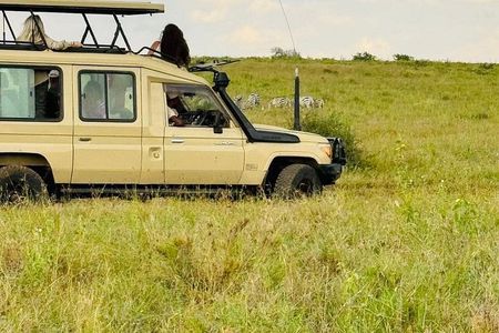 Nairobi National Park Guided Tour with Free Giraffe Center Visit