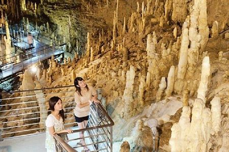Okinawa Hip-hop Bus D Course Tour to Southern Island