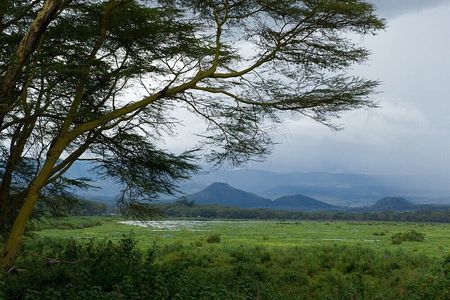 Lake Naivasha Boat Ride and Crescent Island Walking Guided Safari