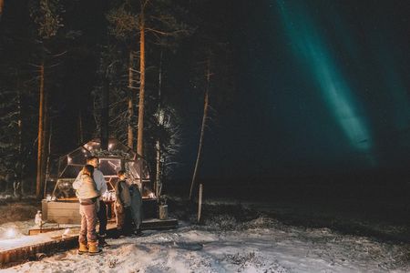 Arctic Night Odyssey: Luxury Drive & Snowmobile Safari