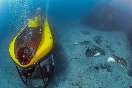 Tenerife Submarine Tour with Los Gigantes Pickup