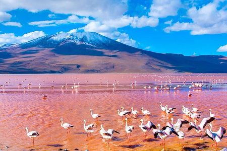 Uyuni Salt Flats 3-day tour, ending in San Pedro de Atacama
