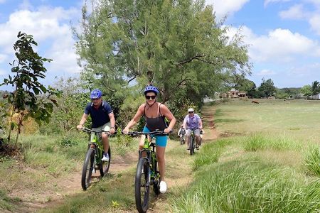Barbados eBike Shore Excursion Scenic Sightseeing Ride