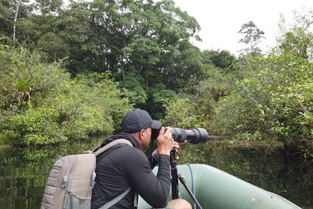 4 in 1 Sloths, Waterfall & Jungle Lagoon Safari at the Rainforest