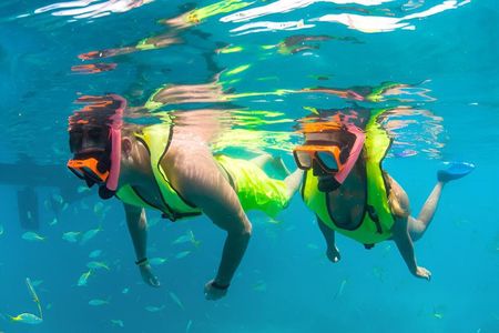 Key West Reef Snorkel – Morning Mimosas or Afternoon Margaritas