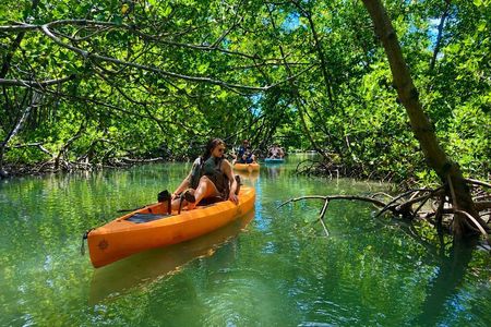 Kayak Tour Marco Island and Naples