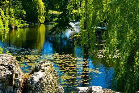 3hr Beacon Hill Park, Chinatown, Craigdarroch Castle tour(1-5pax)