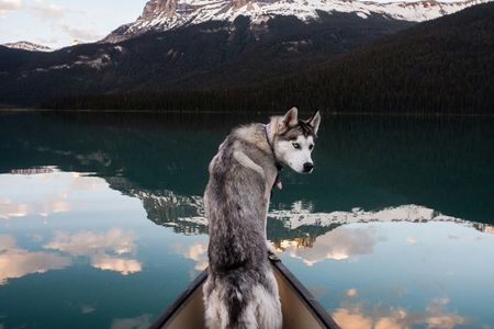 Banff Shared Tour: Lakes Glaciers Waterfall Canyon 12 Scenic Stop