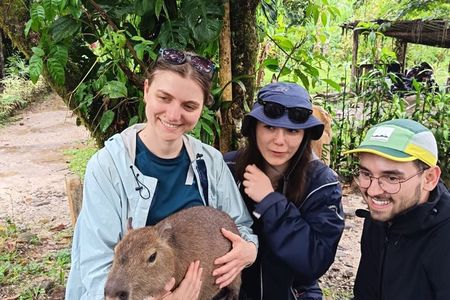 Amazon Puyo 3 Days 2 Nights | Caimans, Waterfall and Jungle