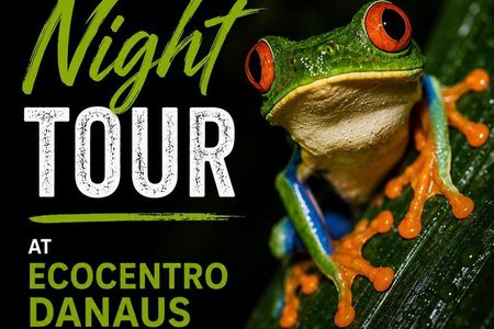 La Fortuna Night Tour - Private