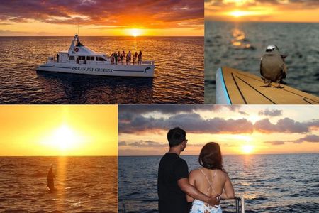 Premium Snorkel Sunset Cruise with Dolphin Watch