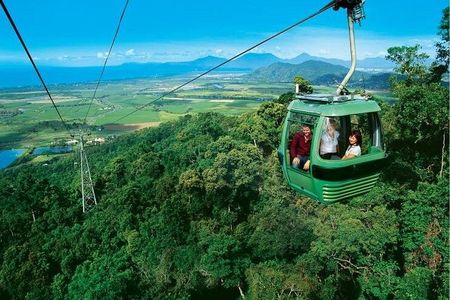 Cairns: Army Duck, Wildlife & Skyrail Rainforest Tour
