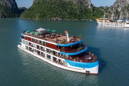 Cycad Cruise - NEW 6 star cruise in Bai Tu Long Bay 2days/1night