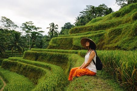 Scenic Ubud Journey with Private Guide & All-Inclusive Tour