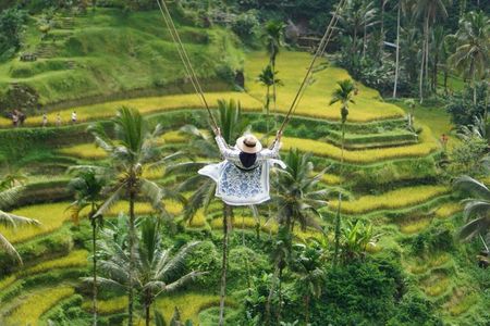 Private Day Tour In Ubud With Jungle Swing All Inclusive