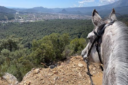 1 or 2 Hours Group Horse Riding in the Forest in Kemer Antalya