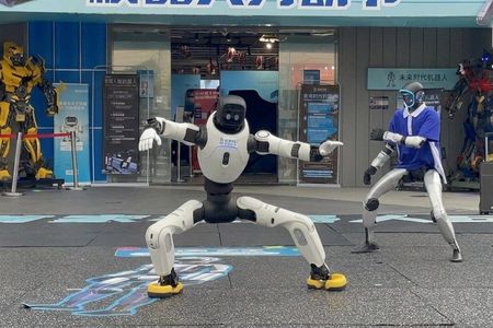 Shenzhen 0.5 or 1 Day: "Tech Focus Tour" or "Culture+Tech Tour"