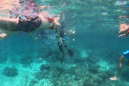 Catlina Island | Free Diving and Transportation