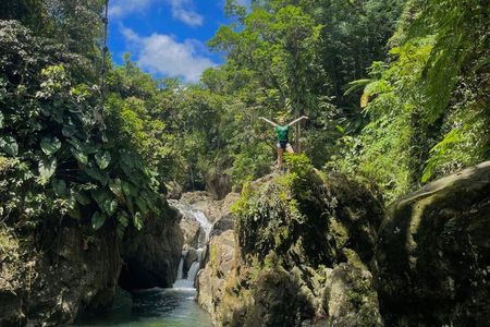 El Yunque Tour with Luquillo Lunch Stop and Transport: 6 ppl Max