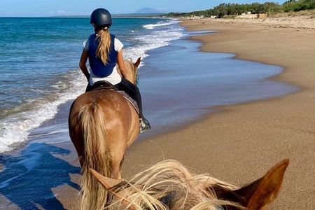 Beach and Pine Forest Horse Riding near Katakolo and Kourouta