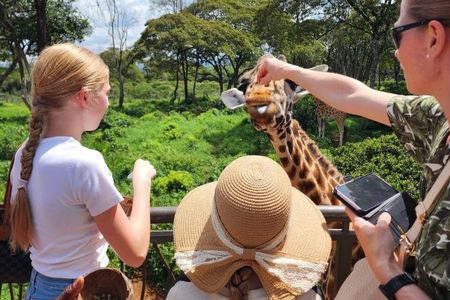Nairobi Giraffe Centre Tour with Hotel Pick-Up