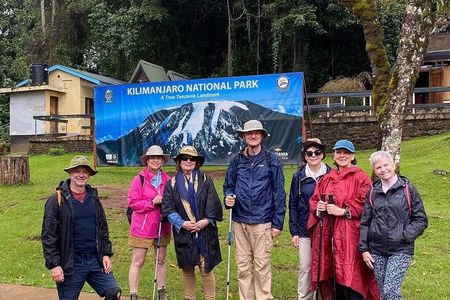 Kilimanjaro day hike tour