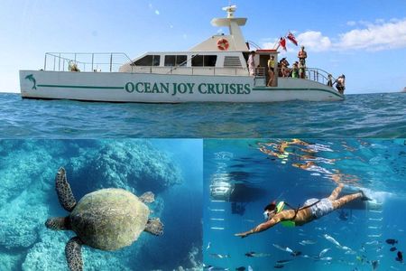 Luxury Snorkel Cruise with Dolphin Watch and Local Buffet