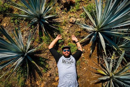 Private One Day Adventure Tour in Tequila and La Fortaleza Distillery