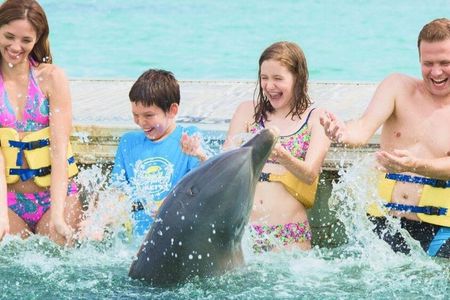 Enjoy Our Tours Dolphin Explorer Park