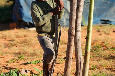 Traditional Zimbabwe Village Tour Near Victoria Falls