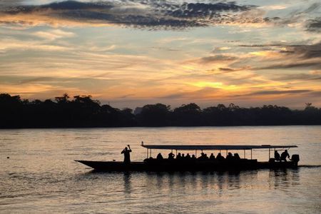 2 Days Adventure Tambopata vip and wild animals