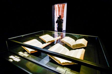 2 Hour Private Guided Walking Tour: Gutenberg and Old Mainz