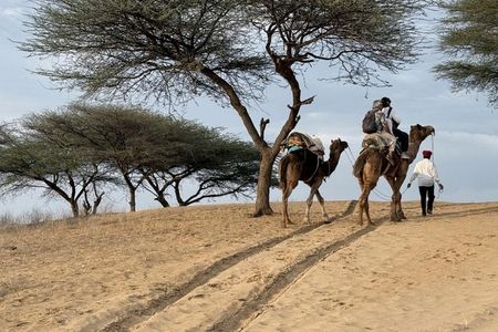 Private Osian Desert Tour with Camel Safari, Dinner & Mandore