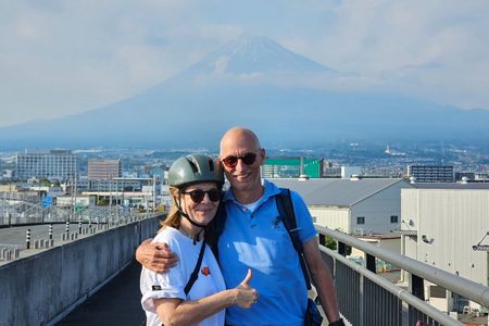 Fuji City: Mt. Fuji E-Bike & Green Tea Master Tour
