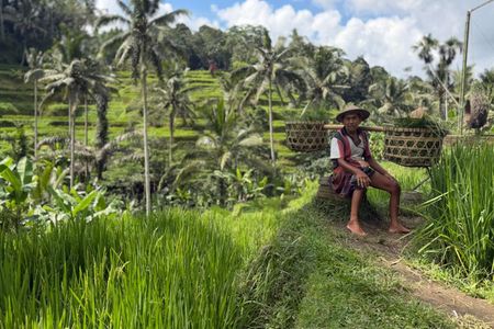 Best Full Day Of Ubud Private Guided Tour